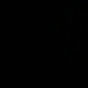 Meet your Posher, Jasmin